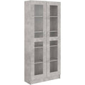 Vitrine gris structure metallique